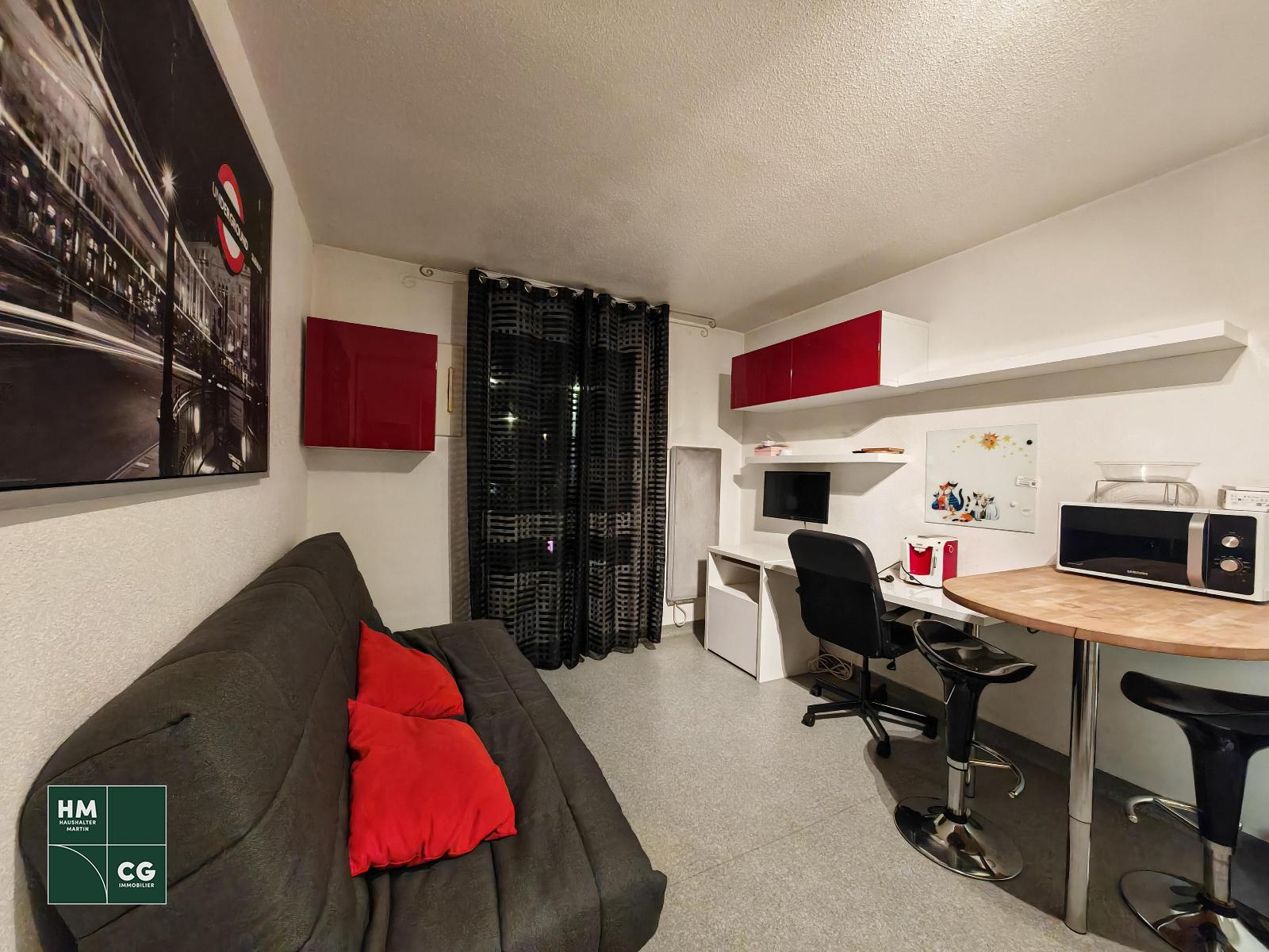 appartement 1 pièces - STRASBOURG